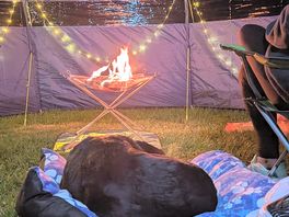 Dog and fire pit friendly