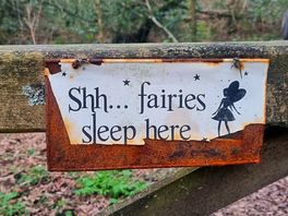 Woodland trail fairies