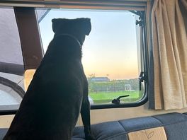 Our dog loved the sunrise.