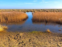 Short walk to see this delightful place