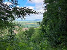 View along the jenny wind walk