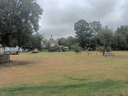 Lovely flat field with fruit trees.