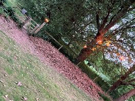 Beautiful lights near the camping tents