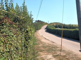 One of the hills to get out.
