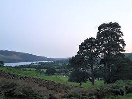 Night view