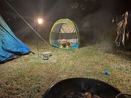 Camp