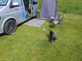 Our dog loved it too 😁