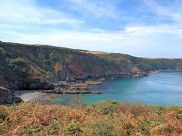 Littlehaven