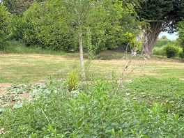 Site view