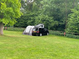 Pitch c6 in the clearing