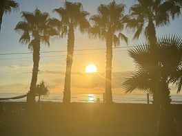 View from our campervan in the morning 💛