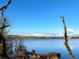 Walk around the lake