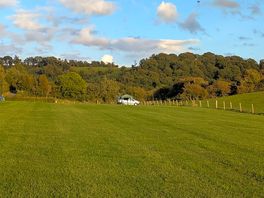 The field is large and clean