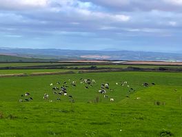 Countryside view