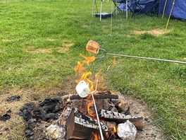 Marshmallows