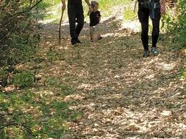 Nice little walk through the woods