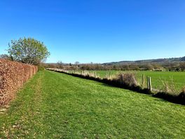 View from dog walk