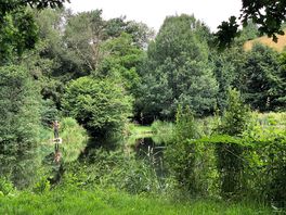 A spot of fly fishing
