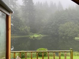 View from the cabin on a misty morning.