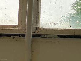 Shower window