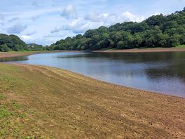 Local bosley reservoir