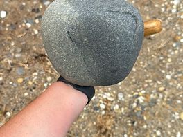 Fossil hunting
