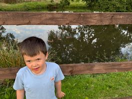 Pond