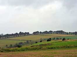 5 mile walk