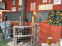 Cosy drinking area