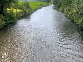 Views nearby