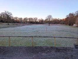 Our view on a frosty morning in march which turned into a beautiful spring day.