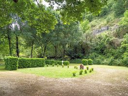 Greenery all around