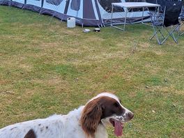 Tent finally up 😁