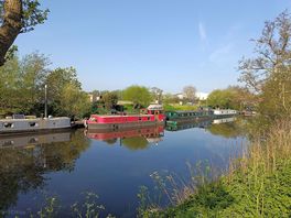 Beautiful river avon, walking distance from the campsite