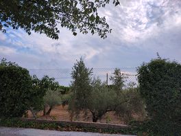 Daytime view from our pitch.