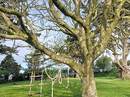 Rope ladder