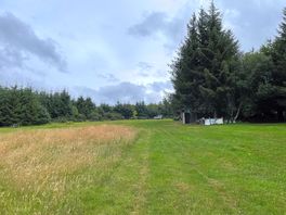 The site.