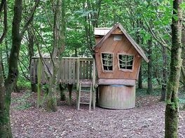 Woodland walk arroun the campsite