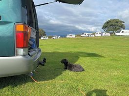 Views across the estuary