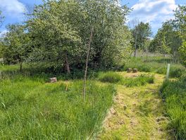 A secluded pitch for up to six
