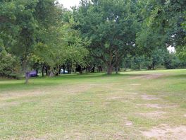 Pitchup in the oak woodland.