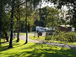 View from the entrance to the site