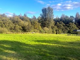 Views and a deer