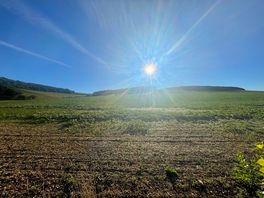 Morning at the site