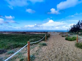 Plaża