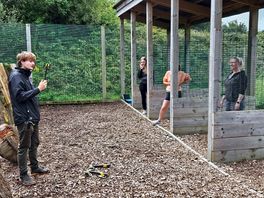 Axe throwing