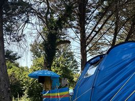 Our pitch under the pines