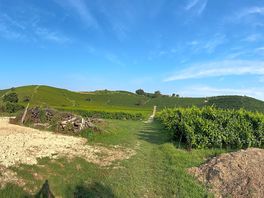 Pano