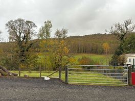 View from the van