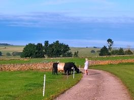 Moooove alone!